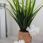 Enchanted Sunlit Retreat 1 *