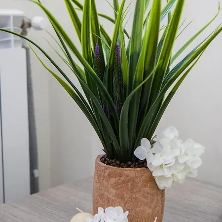 Enchanted Sunlit Retreat 1 *