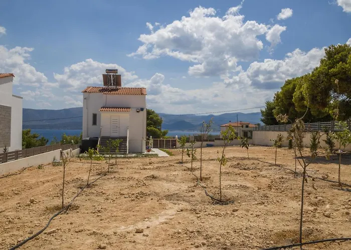 Enchanted Sunlit Retreat 1