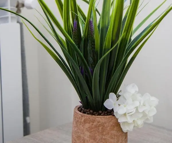 Enchanted Sunlit Retreat 1 *